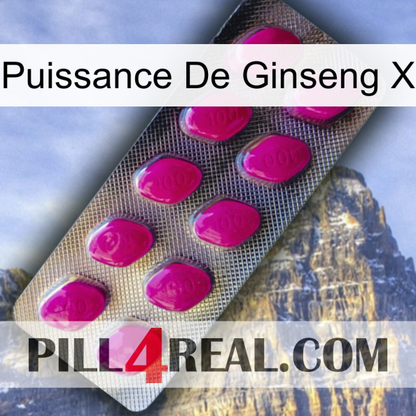Ginseng Power X 09